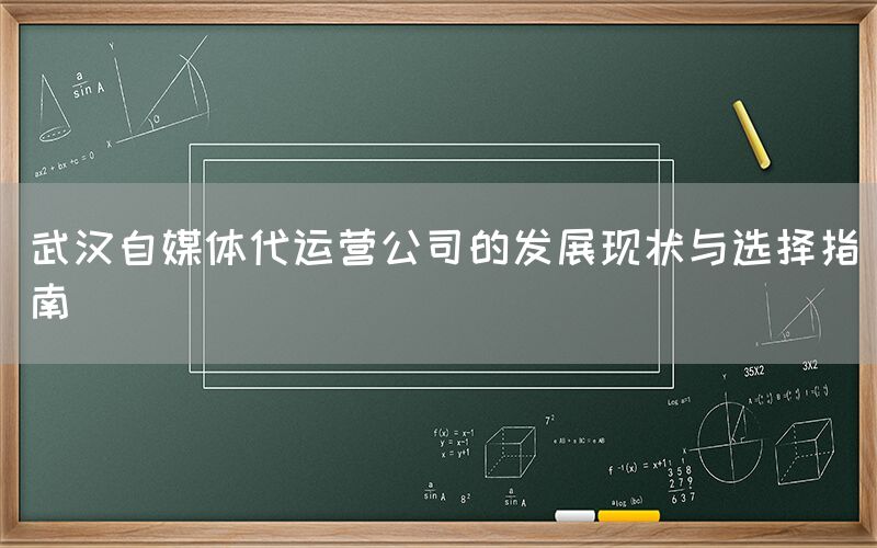 武汉自媒体代运营公司的发展现状与选择指南