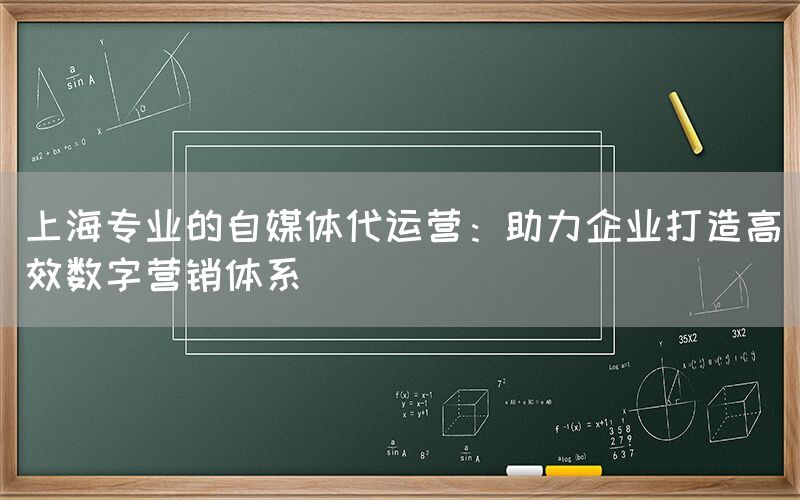 上海专业的自媒体代运营：助力企业打造高效数字营销体系