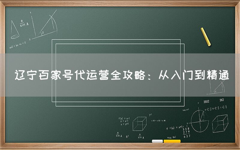 辽宁百家号代运营全攻略：从入门到精通