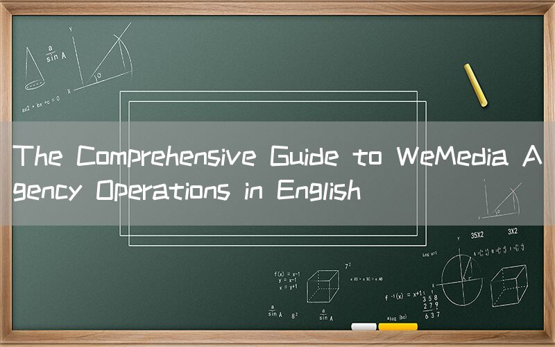 The Comprehensive Guide to WeMedia Agency Operations in English