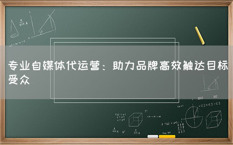 专业自媒体代运营：助力品牌高效触达目标受众