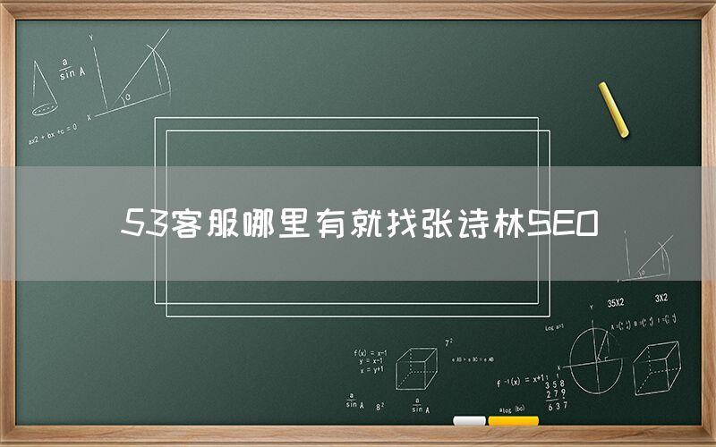 53客服哪里有就找张诗林SEO